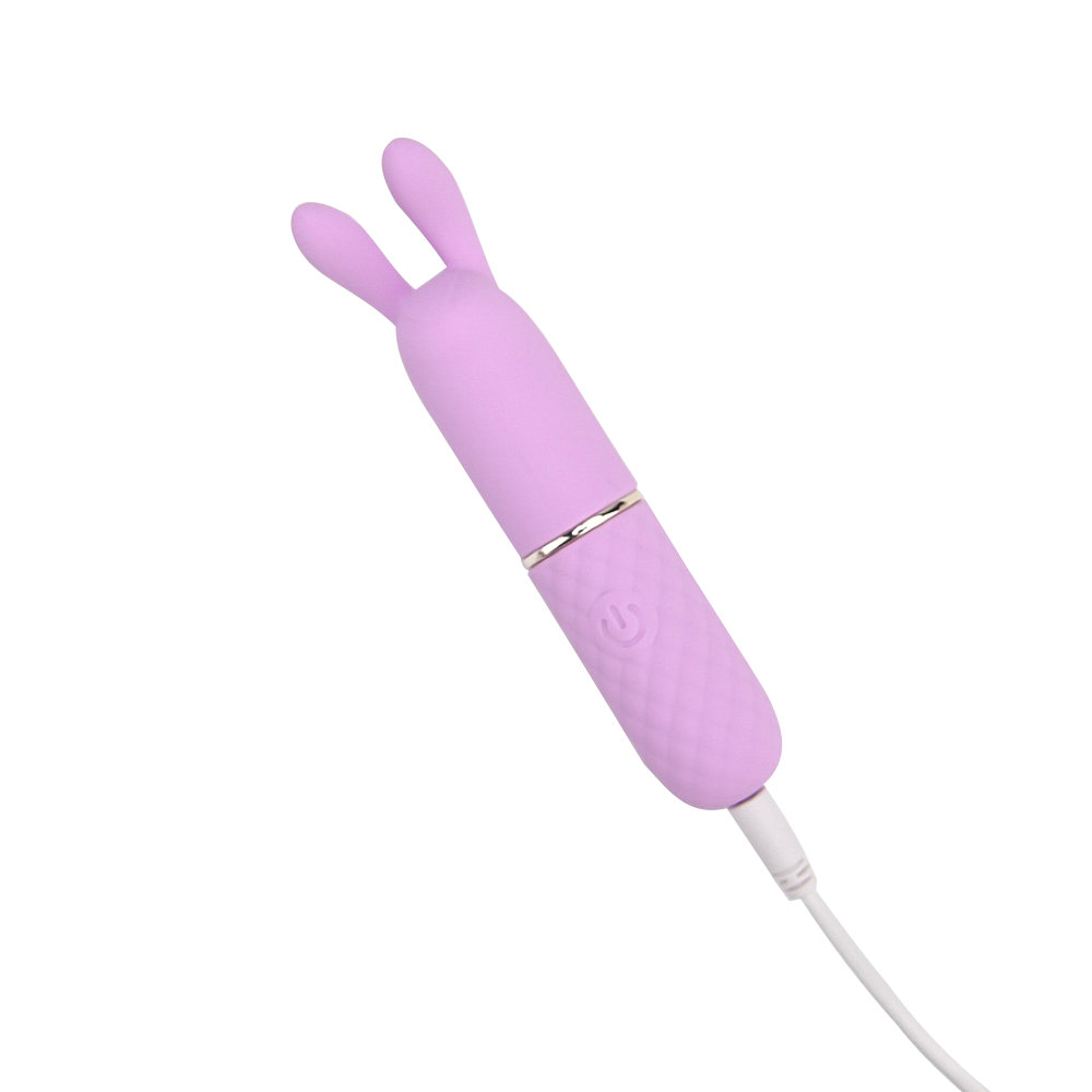 n12252-nauti-petites-10-speed-rabbit-ears-bullet-vibrator-charge-cable
